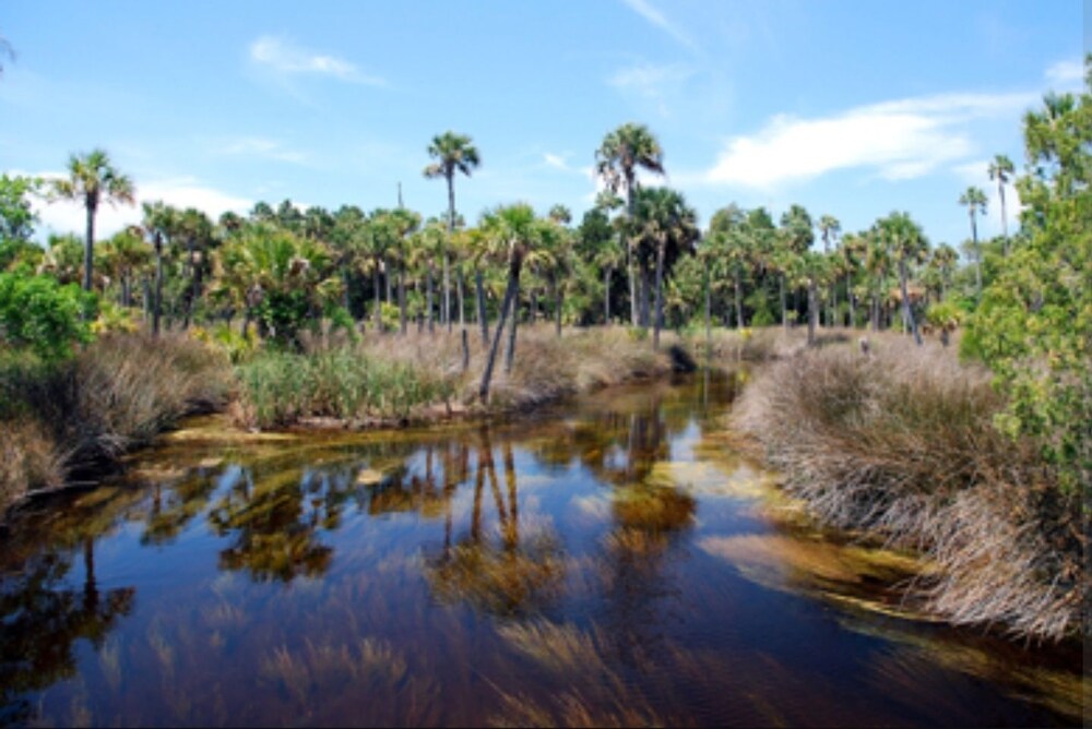 Old Owl's Nest - Property Image 15