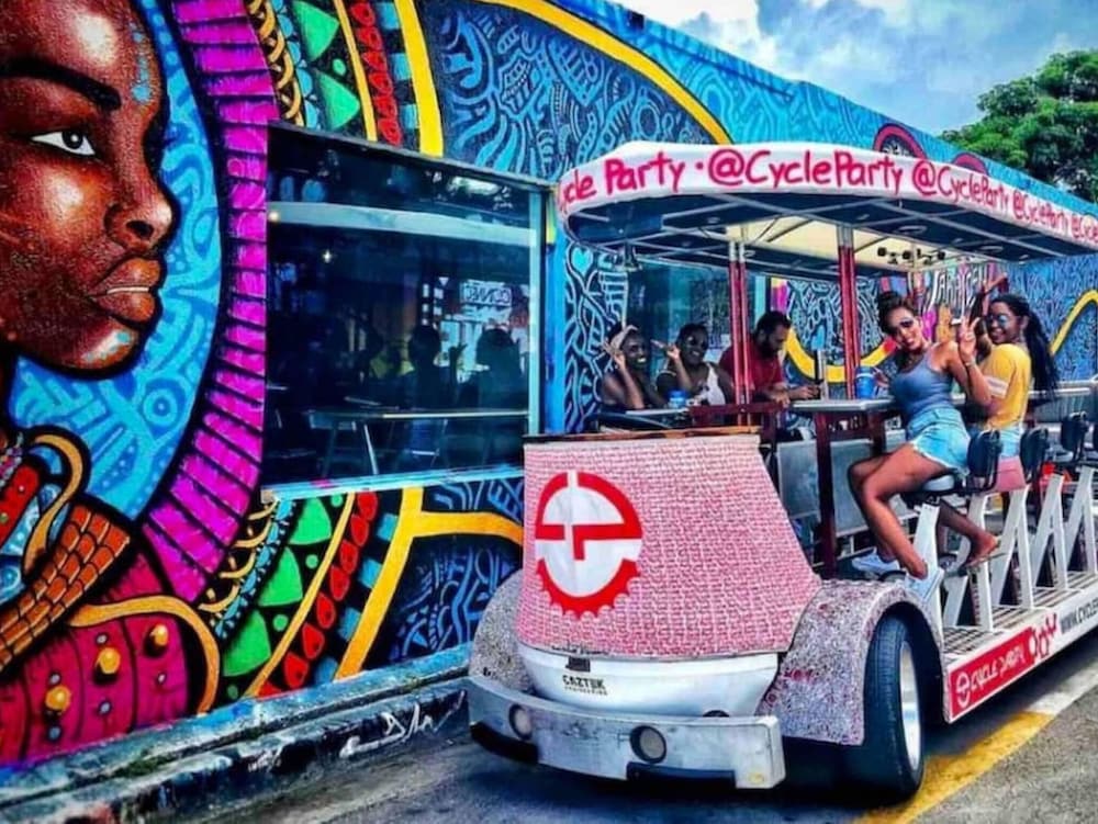 Vacay Spot Wynwood Jungle Fever BBQ Patio Vibes