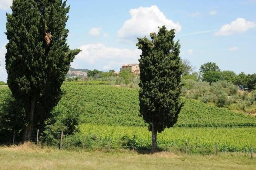 Agriturismo Castello di Bucignano