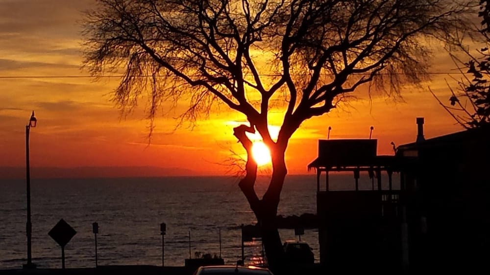 Balm Beach Resort & Motel