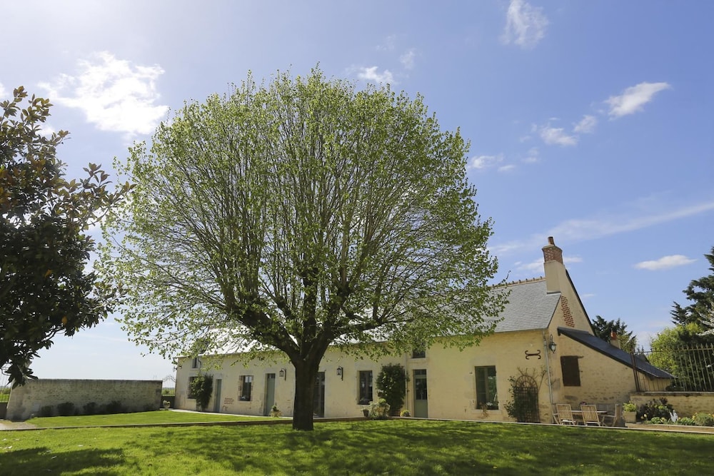 Le Domaine de la Fouardière view 2