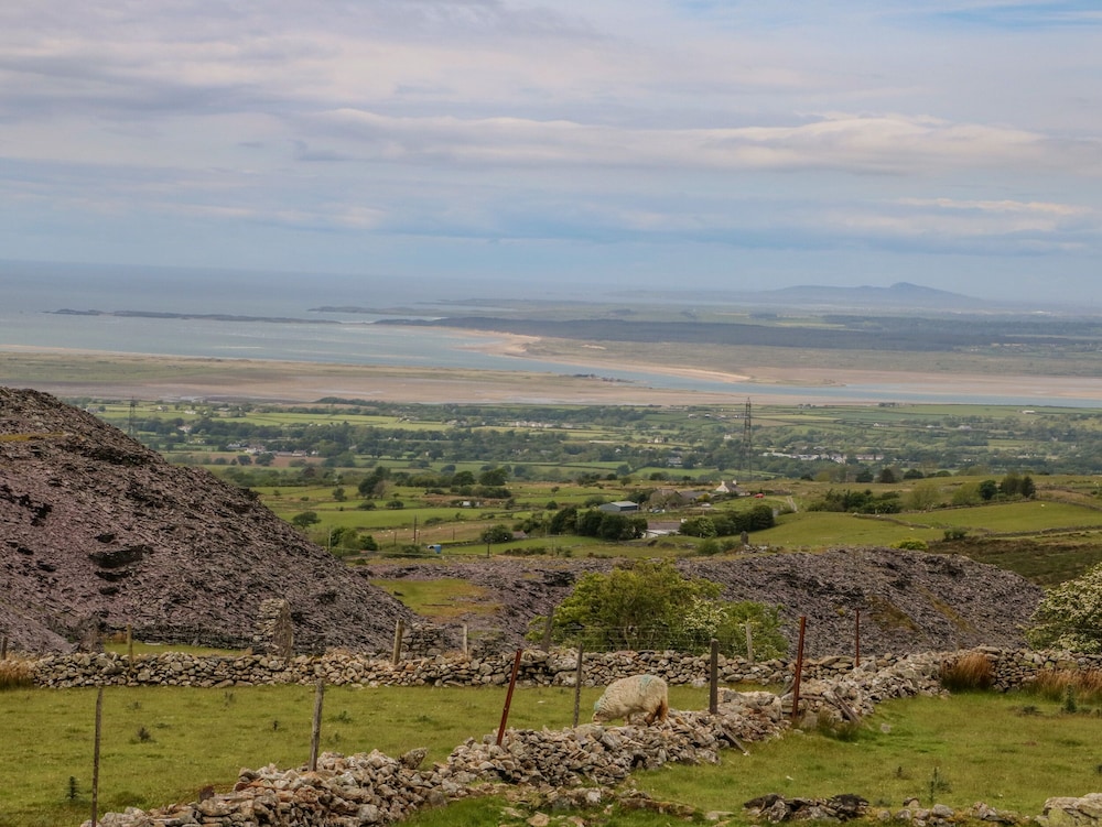 Bryn Derwen