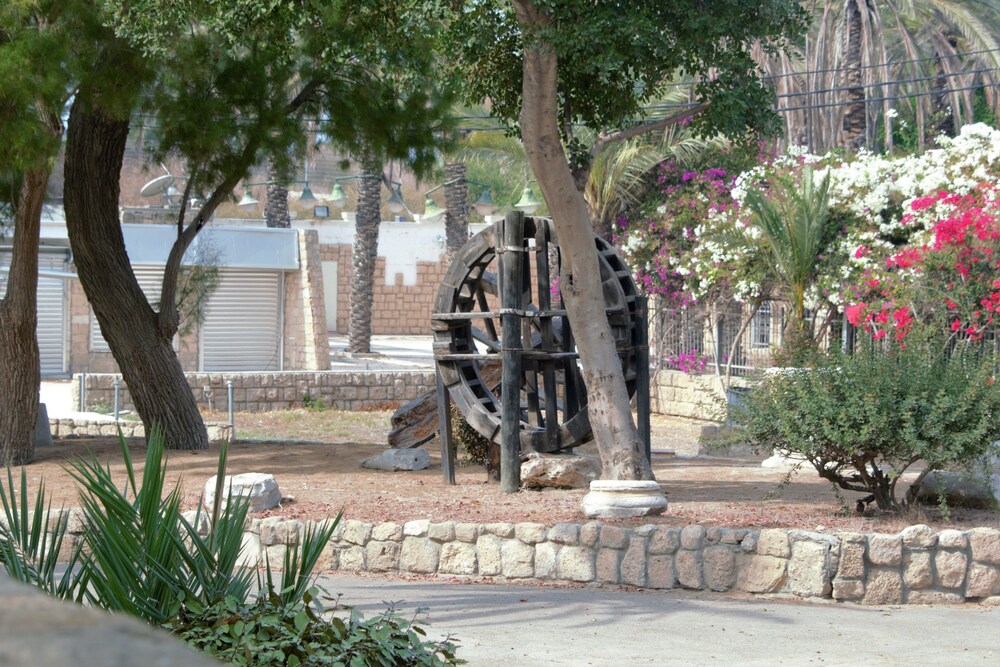 Photo 49