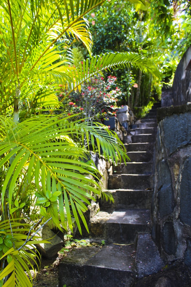 Stelia Seychelles