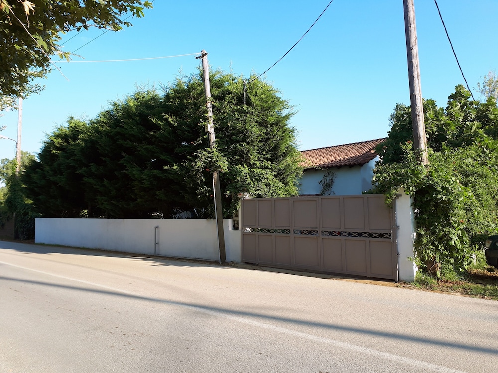 Photo 19