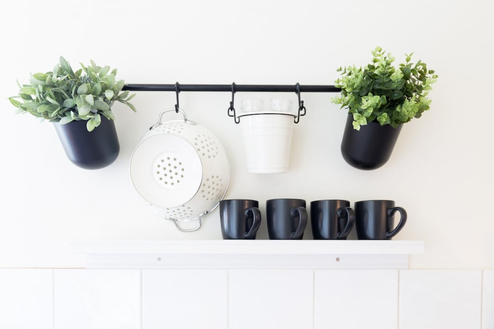 Live in the Heart of Surry Hills - Walk to City