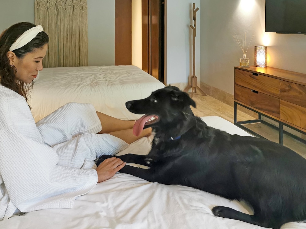 Kimpton Aluna Tulum, an IHG Hotel - Property Image 145