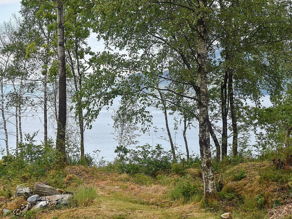 Photo 47