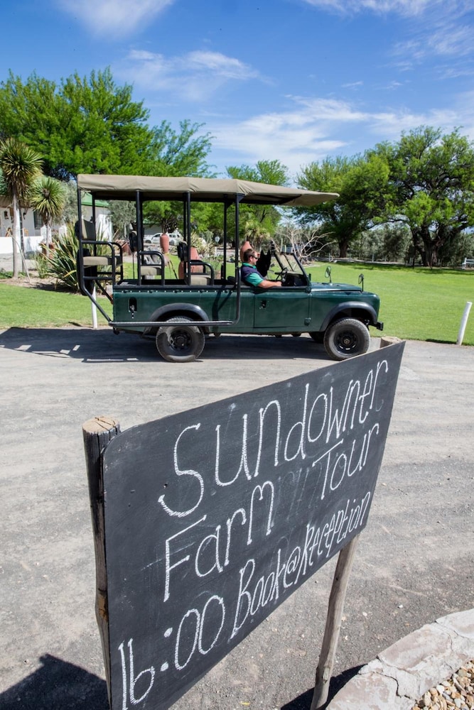 Olive Grove Guest Farm