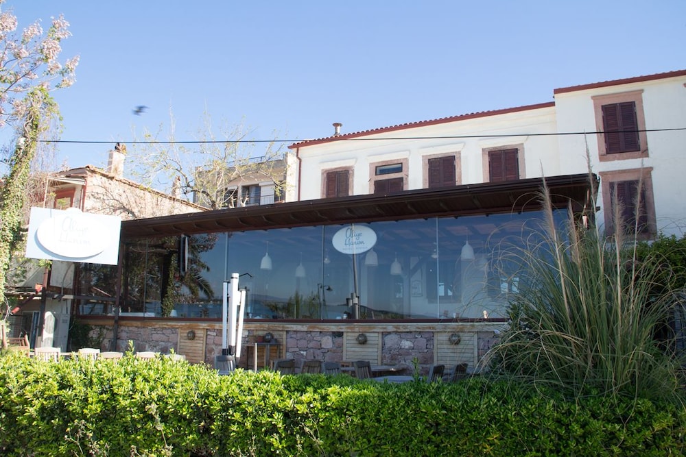 Aliye Hanım - Image 9