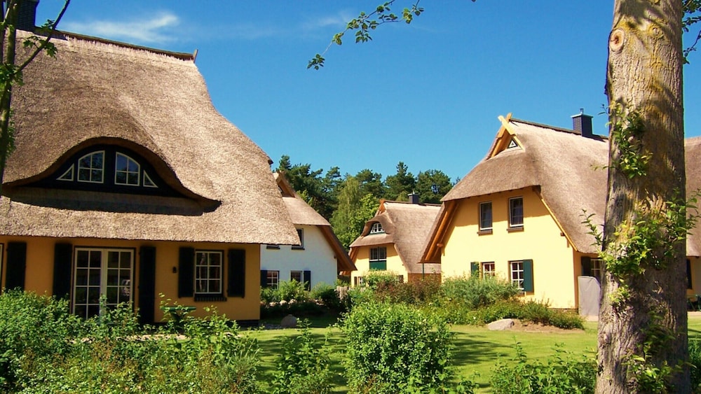 Kustenwaldvilla in Dierhagen