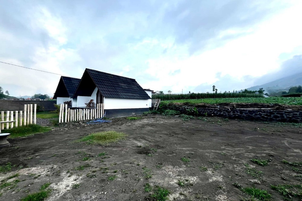 Photo 12