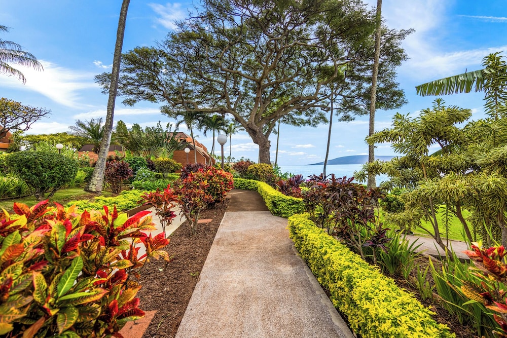 Kuleana Club - 402