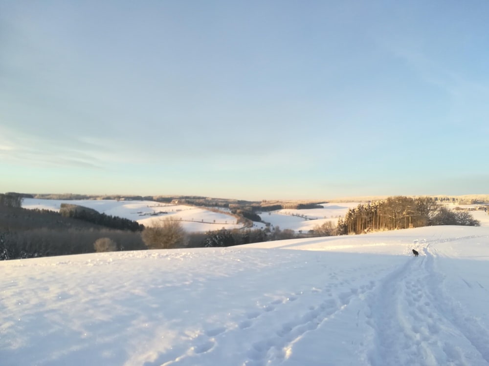 Apartment in Eifel Near Hiking Trails