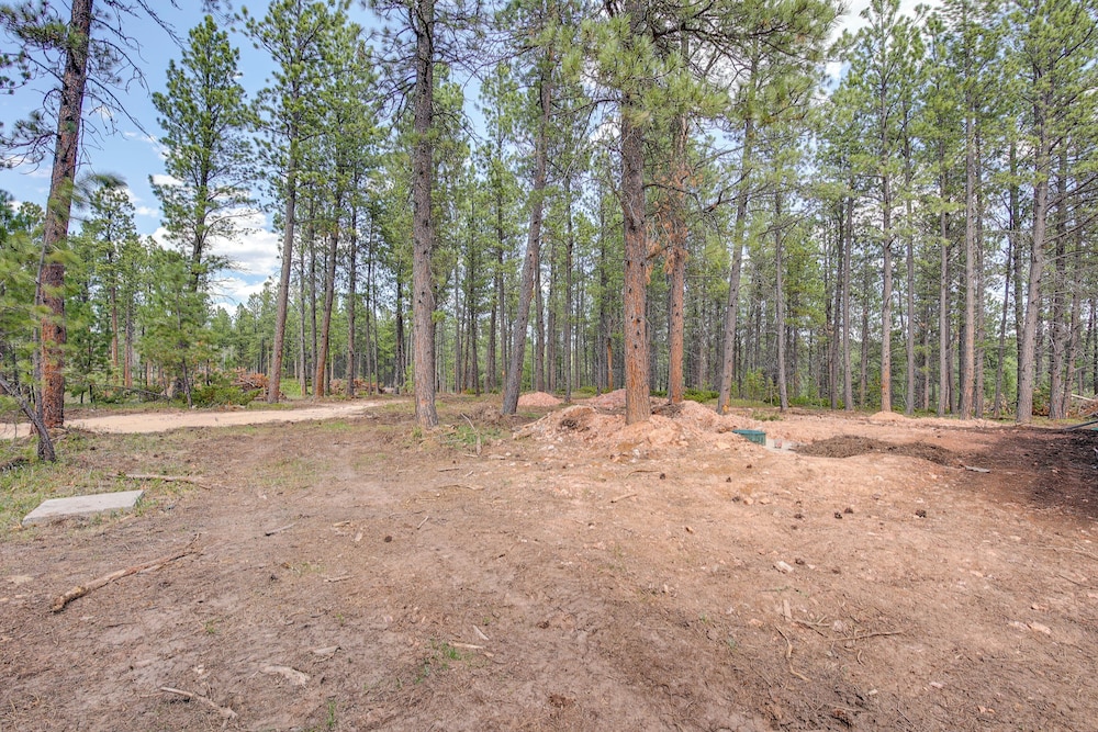 Black Hills Vacation Lodge: Deck & Fire Pit!