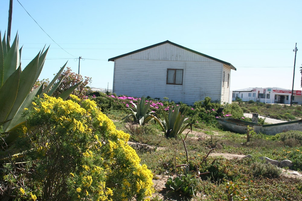 Photo 19