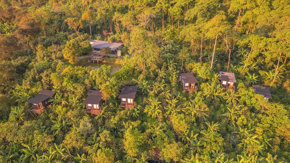 Hotel La Palma y El Tucan - Coffee & Nature - Image 1