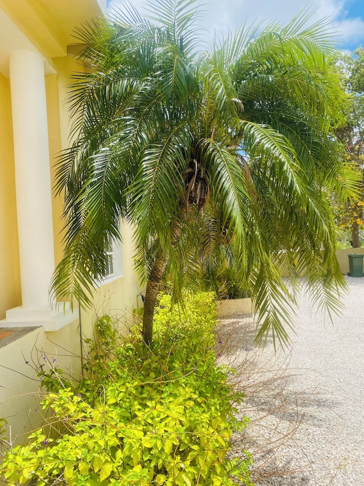La Pura Vista Resort
