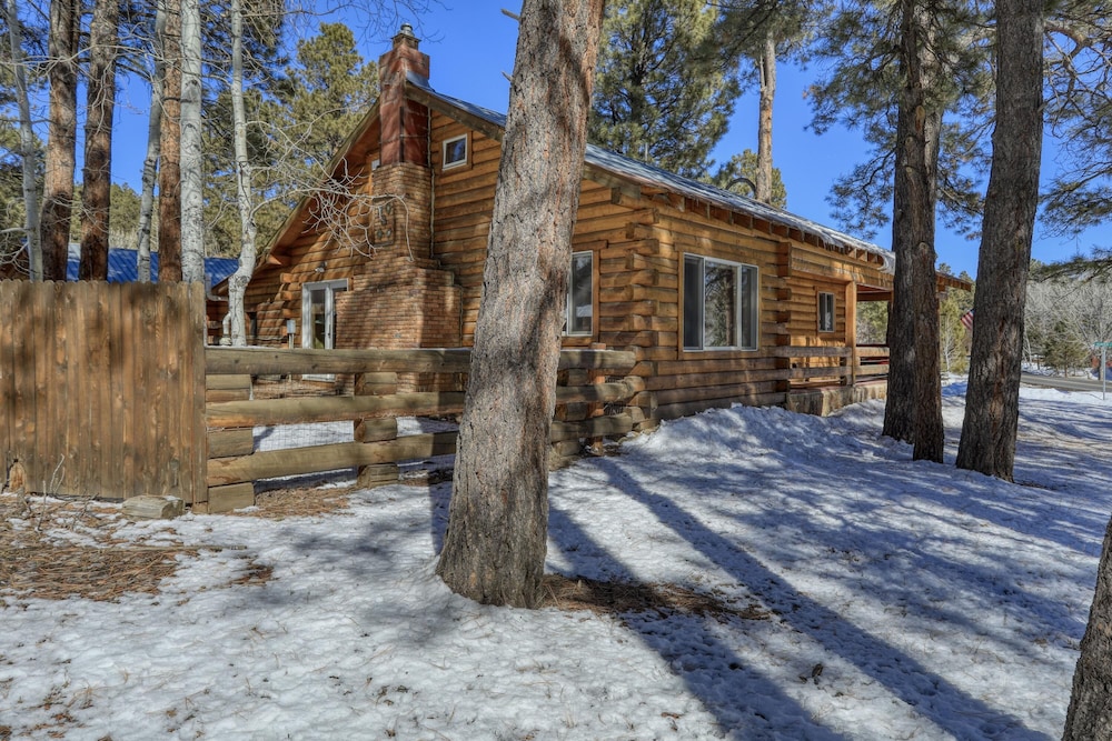 NEW The Wolf Den in Pagosa Springs view 4