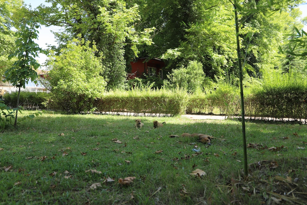 Filyos Ecopark - Property Image 3