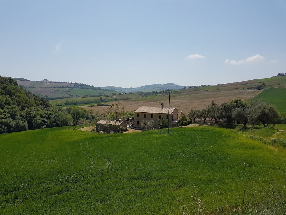 La Cicala