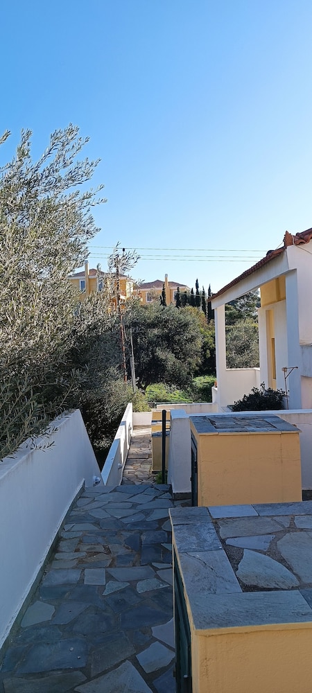 Photo 24