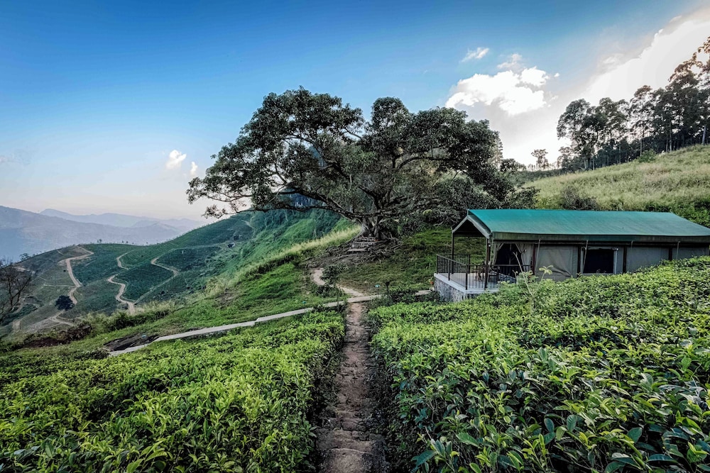 Madulkelle Tea and Eco Lodge