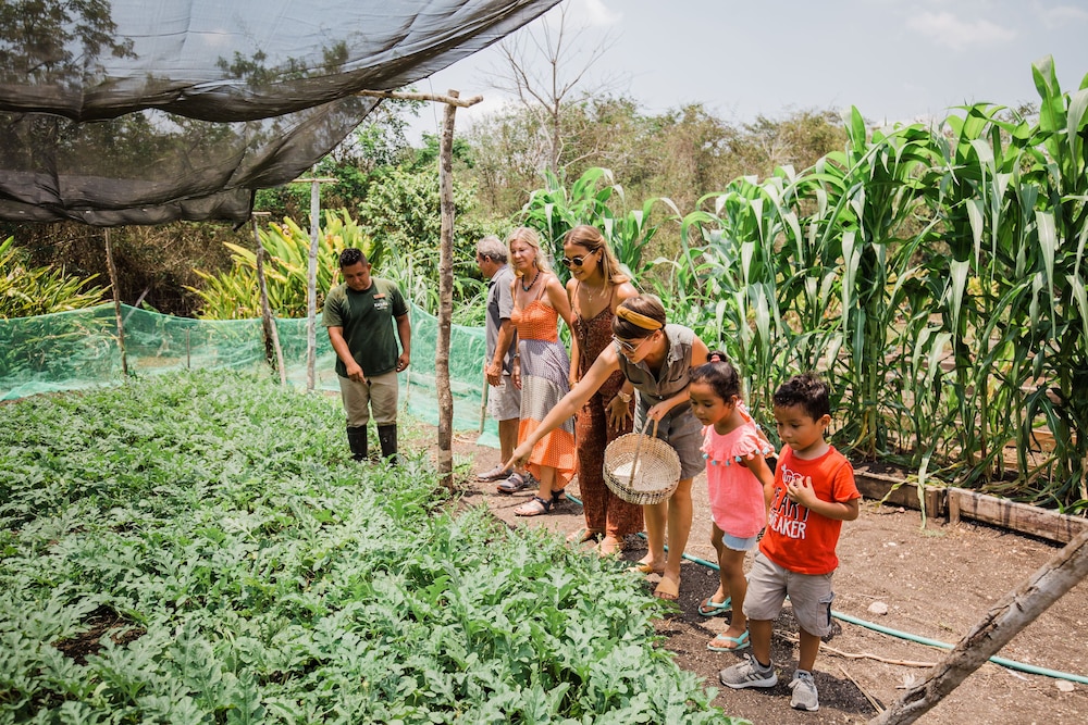 Belize Vacations - Ka'ana Resort - Property Image 217