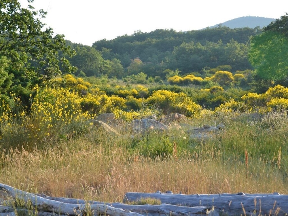 La Devinière