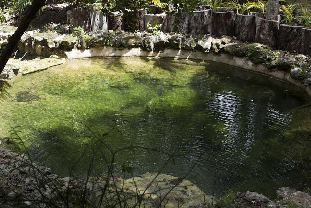 Chaktunche Rancho Ecolodge