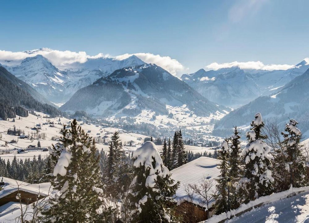 Contemporary Swiss Escape