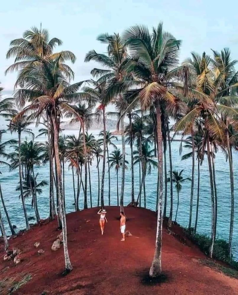 Shasee Rest -Mirissa Sri Lanaka