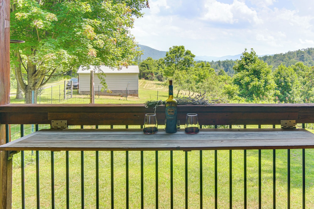 Wraparound Porch w/ Views: Blue Ridge Mtn Gem!
