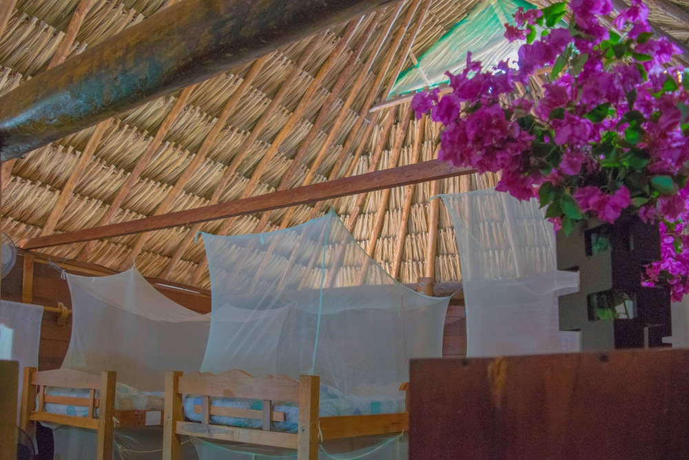 Prima Luna Palomino - Property Image 13