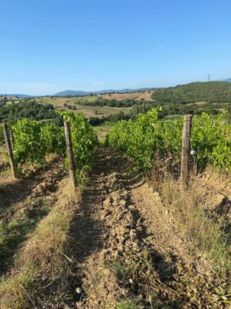 "la Casa Delle Bimbe" view 4