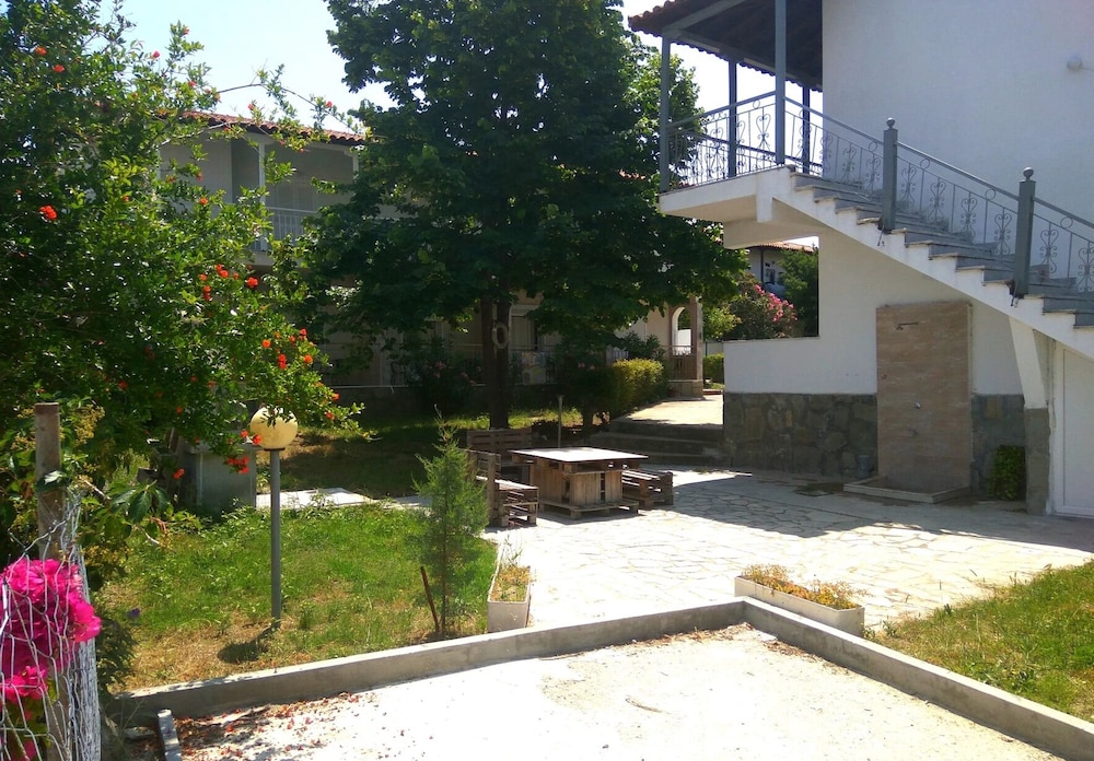 Photo 12