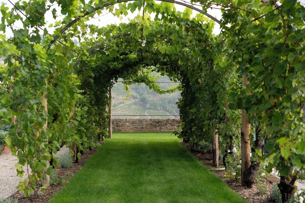 Luxury Langhe Pool Vigne Di Fagnano