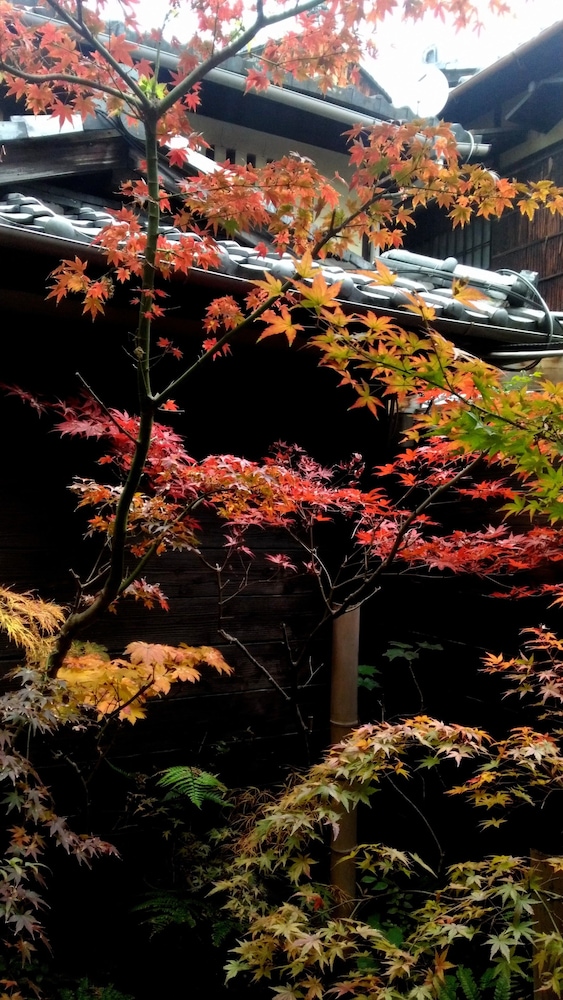 Kyoto Shirakawa Kiraku Inn - Hostel