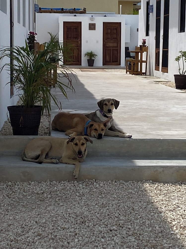 Casa Loto A