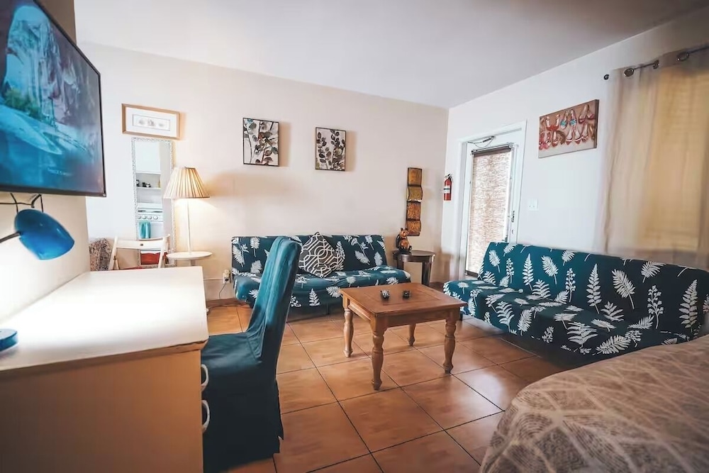 Pet Friendly Stylish Studio in Hollywood