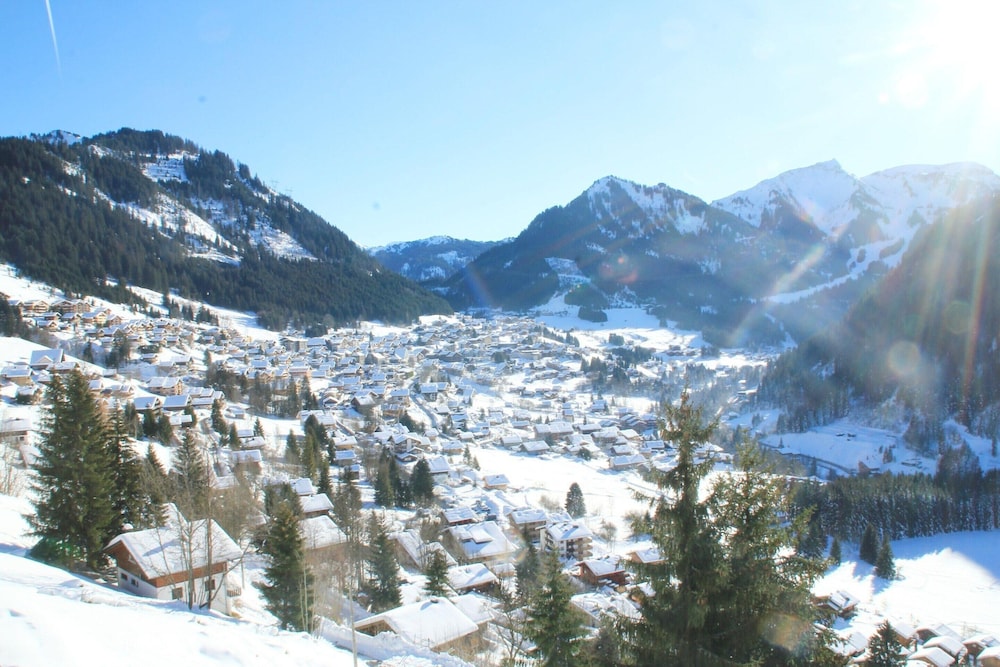 Apartment With Balcony in Chatel