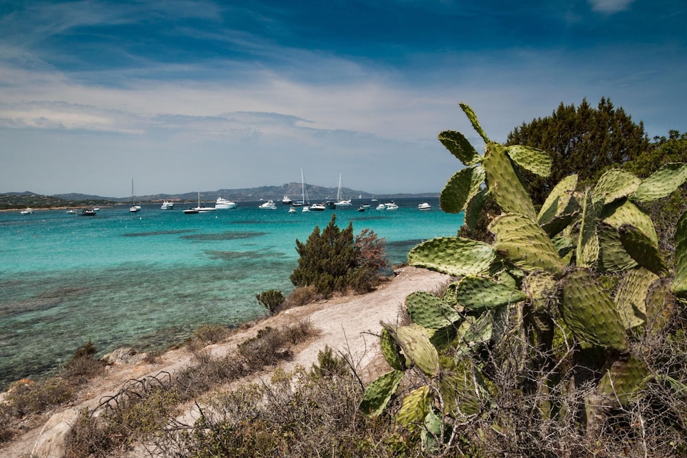 Gli Allori in Golfo Aranci