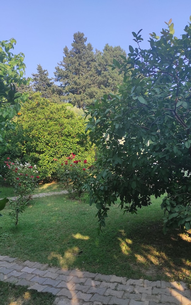 Photo 8