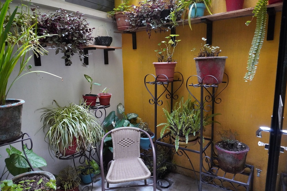 Hostal Guatefriend's - Hostel