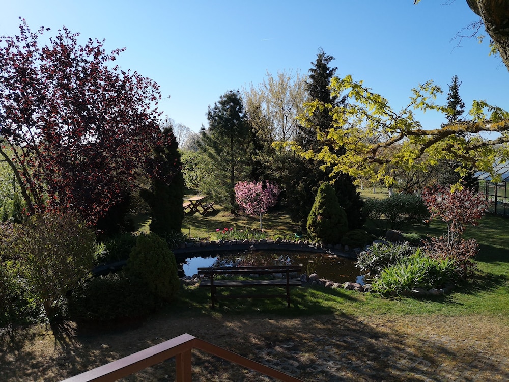 Photo 42