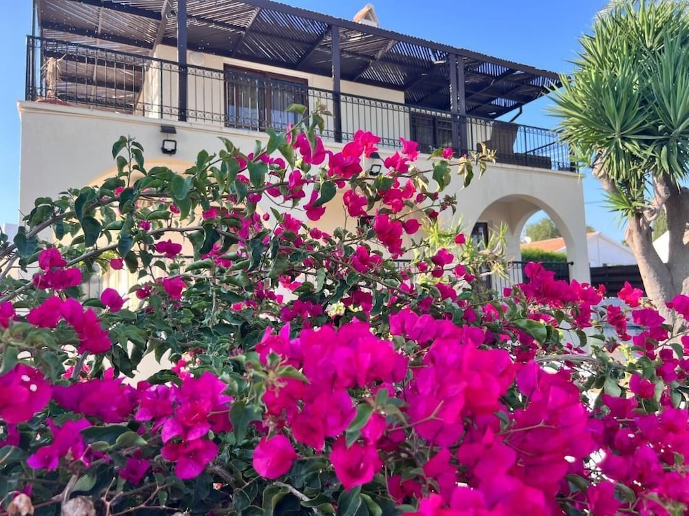 Charming Erimi Villa With Private Pool and Garden View