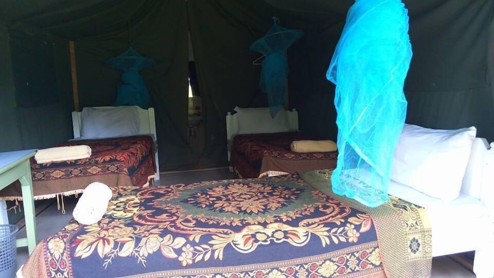 Rhino Camp
