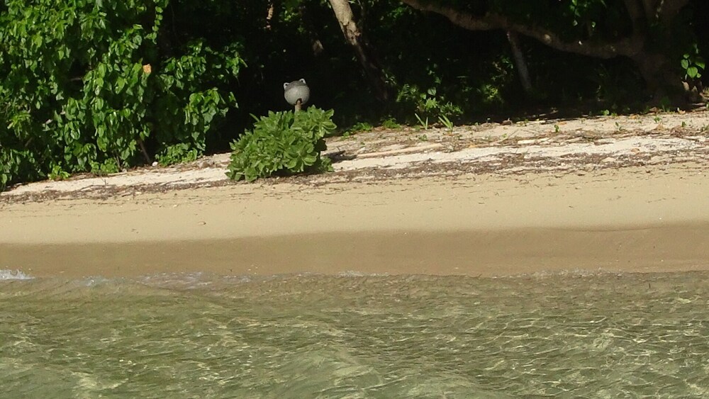 Mahina Lodge