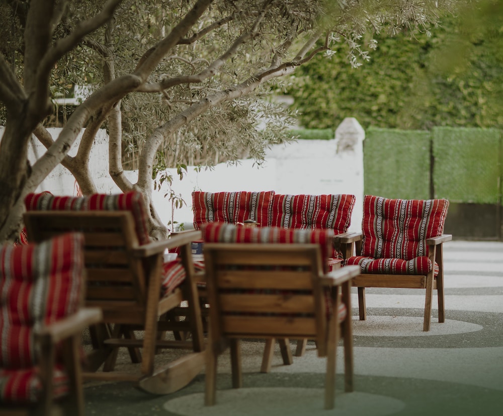 OliveTreeHostel, photo 27