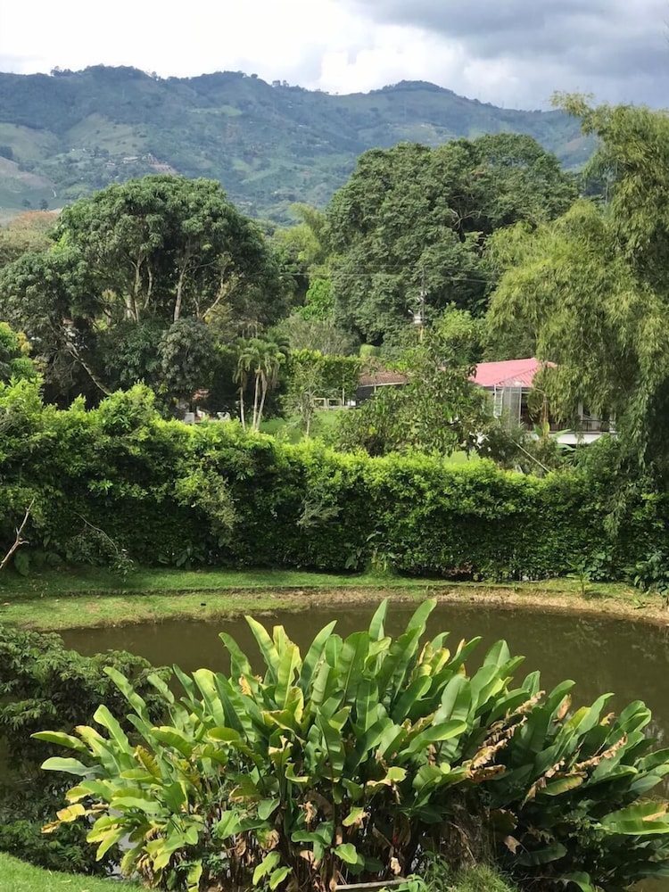Eco Cabañas Green Eden
